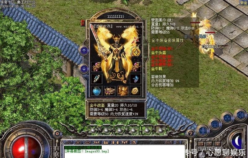 45传奇3私服-配图