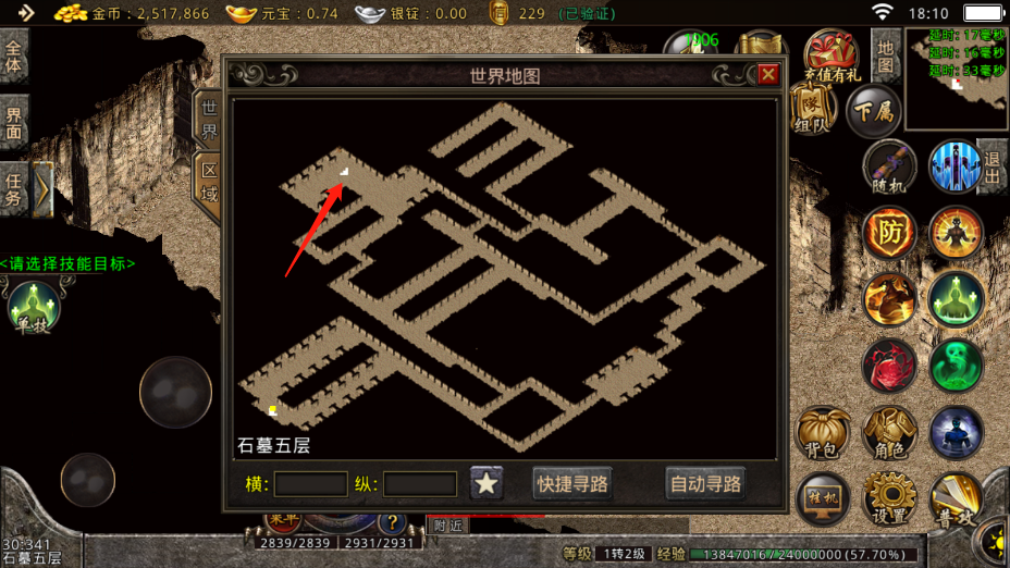 探索950传奇私服的无限可能：玩家们的梦想之地-缩略图